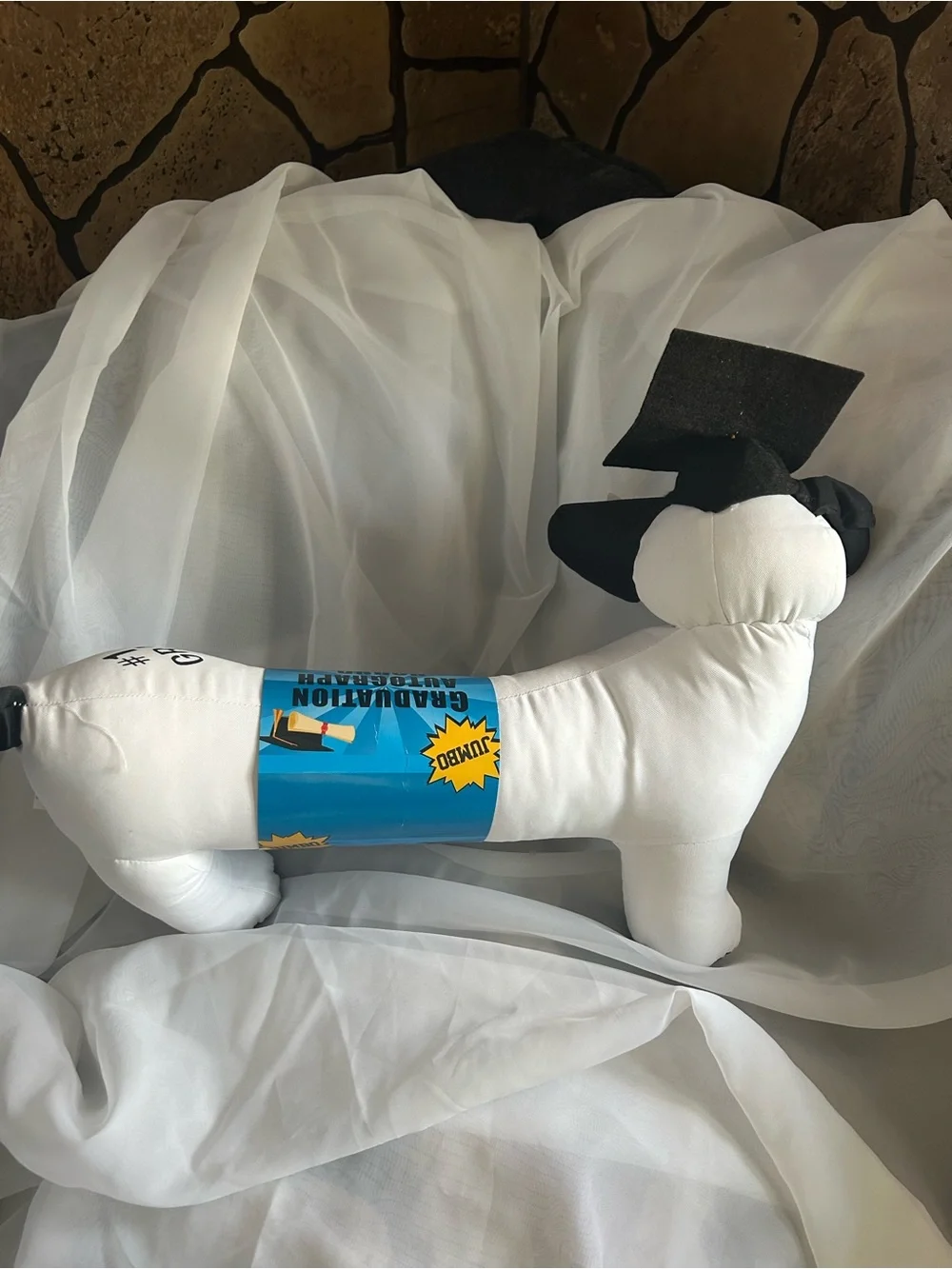 Graduation Autograph Hound Plush Dog - White with Black Accents